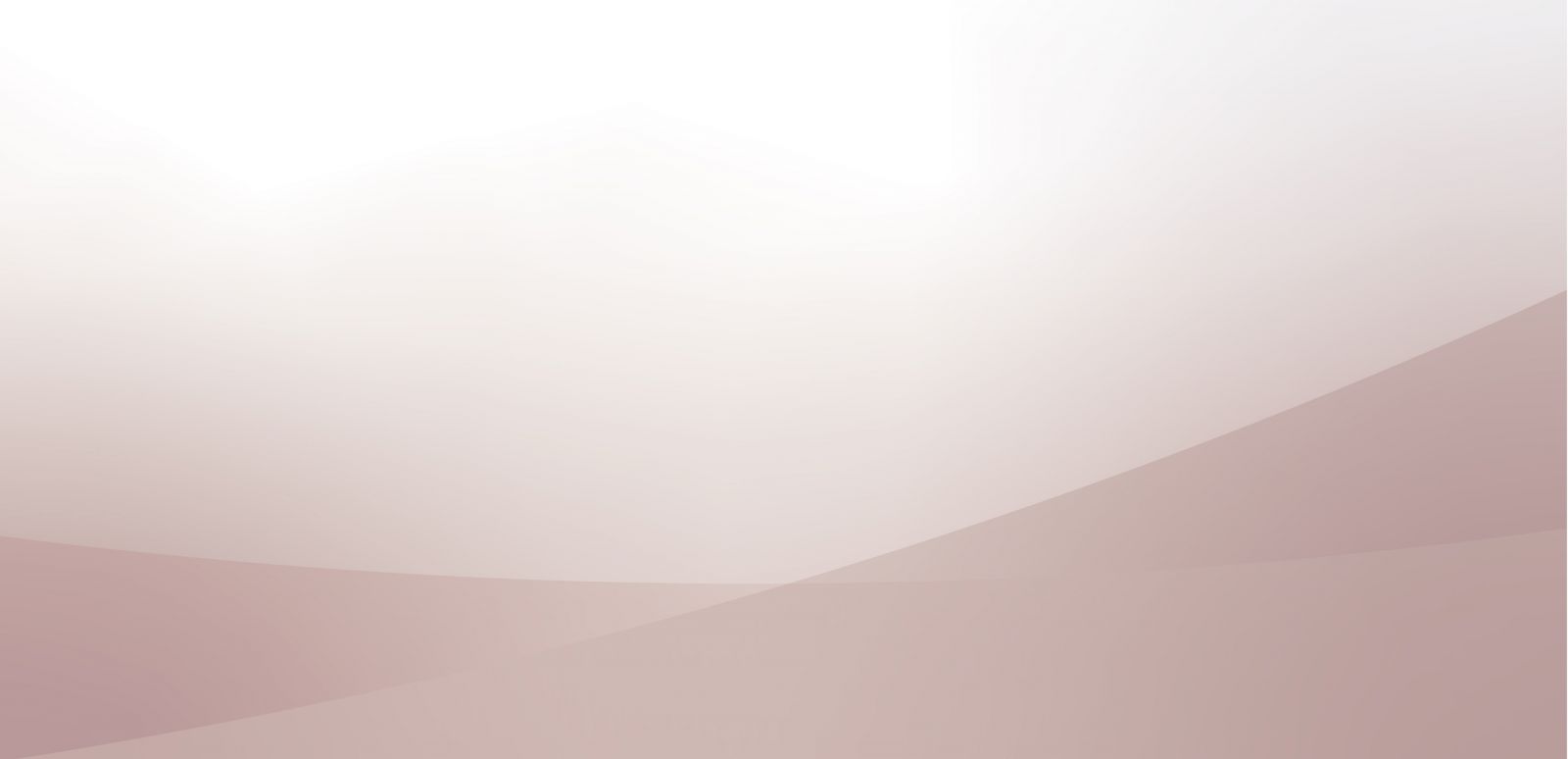 四鏡頭視野輔助系統主機規格書